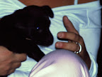 DSCF0856.JPG