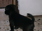 Immagine 005.jpg