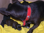 carlootta ancora mamma 010.jpg