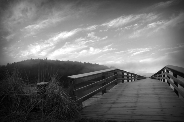 20090120_350