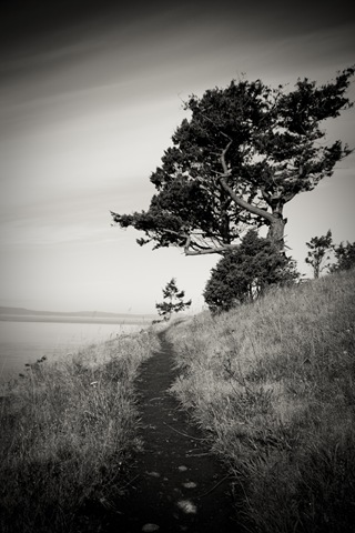 20100614-46