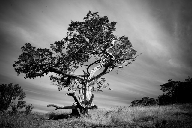 20100614-15