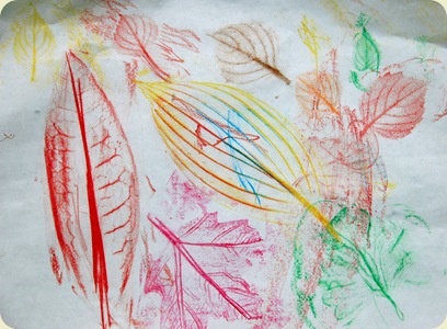 DSC_0919 DSC_0919