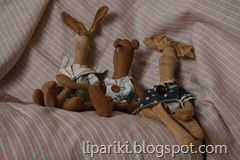 8 IMG_1254 8 IMG_1254