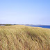 8-img149.jpg