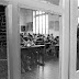 bothoa_nb_028.jpg