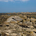 L'estran des Chardons bleus près de Brignogan.