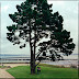 brest-belvedere-16.jpg