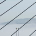 brest-ponts-brume-12.jpg