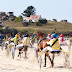 Course attelée à l'hippodrome de la baie du Kernic de Plouescat le 5 août 2010.