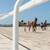 Course attelée à l'hippodrome de la baie du Kernic de Plouescat le 5 août 2010.