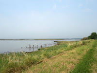 EPSN5871.JPG