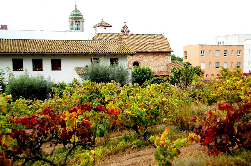 Hospital de Sant Joan Baptista, Sitges Vinya_vella.JPG