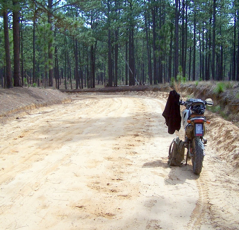 SC Sandhills to Swamp ride and info on Sandhills State Forest