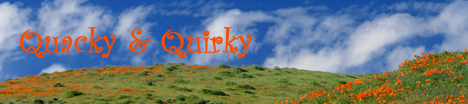 Quacky and Quirky