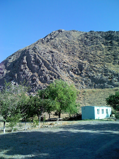 Туркменистан, июнь 2010. ТРАФФИК