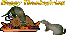 [thanksgiving[11].gif]