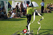 20090802 neplachovice 019.jpg