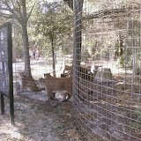 PIC-0110.jpg