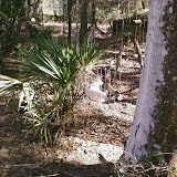 PIC-0107.jpg