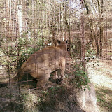 PIC-0101.jpg