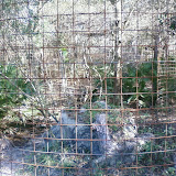 PIC-0094.jpg