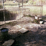 PIC-0087.jpg