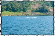 IDKI_1179_www.keralapix.com_DSC0196