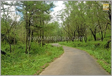 PMDY_010_keralapix.com_ponmudi_keral