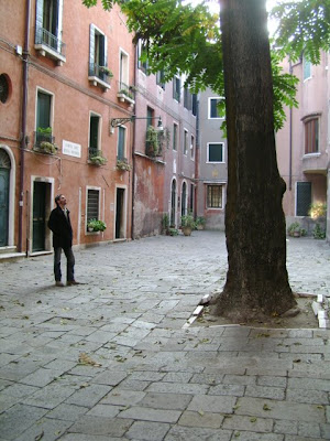 Gli alberi di Venezia