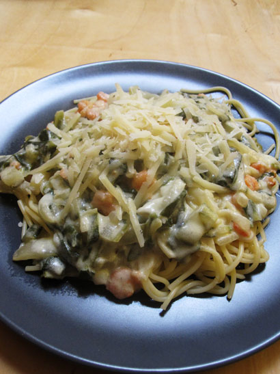 20100205-4.jpg