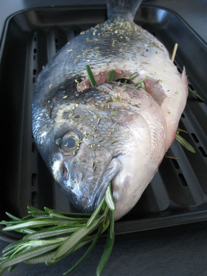 20100831-06.jpg