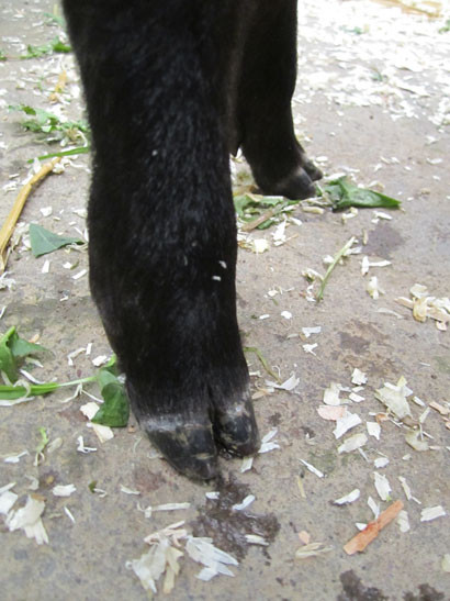 20110416 05