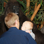 IMG_0182.JPG