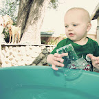 lincoln-water-table-web.jpg
