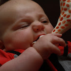 IMG_7678.JPG