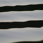 http://lh5.ggpht.com/_LETshxfMPIg/SgCjifMECLE/AAAAAAAAHU4/2N8Gg7HZqjA/s144-c/Waves.jpg