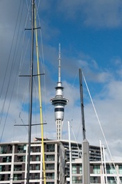 Auckland-7