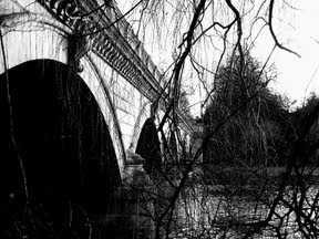 Bridge Through Trees