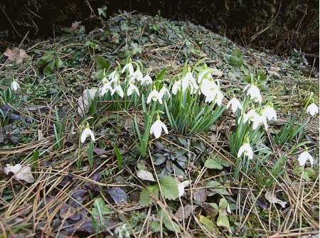 wiosna2010