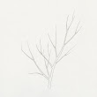 13_TREES.jpg
