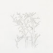 15_TREES.jpg