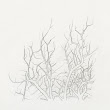 05_TREES.jpg