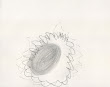 o.t.(flower).jpg