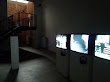 P1000409.jpg