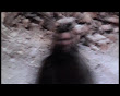 silence1.jpg