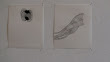 DSC00172.jpg