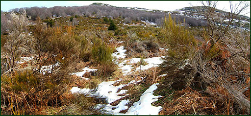 Ascenso a Les Agudes desde Fontmartina por el GR 5-2 pano14