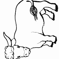 Mamíferos (37).jpg