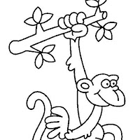 Mamíferos (190).jpg